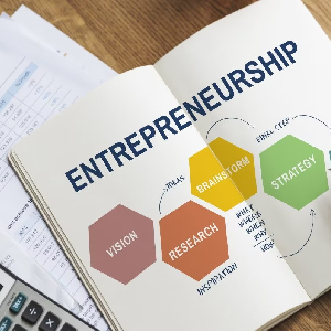 Entrepreneurship​