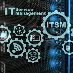 IT Service Management​